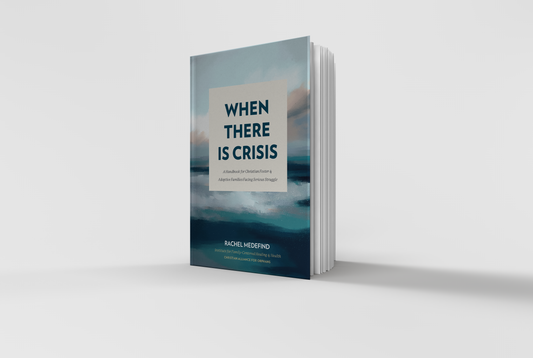 When There is Crisis: A Handbook for Christian Foster & Adoptive Families Facing Serious Struggle
